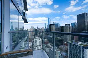 303 W Ohio St, Chicago, IL 60654 - Photo 16
