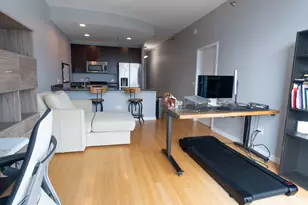 303 W Ohio St, Chicago, IL 60654 - Photo 14