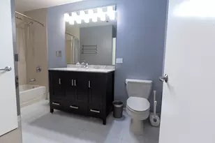 303 W Ohio St, Chicago, IL 60654 - Photo 6