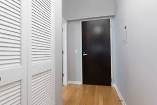 303 W Ohio St, Chicago, IL 60654 - Photo 4
