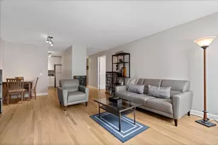 440 N McClurg Ct, Chicago, IL 60611 - Photo 12