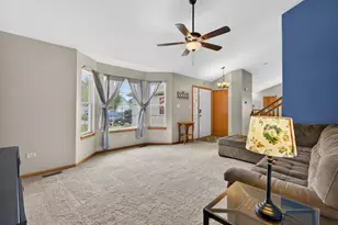 25557 S Mallard Dr, Channahon, IL 60410 - Photo 4