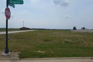1094 Granite Dr, Manteno, IL 60950 - Photo 1