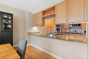 415 E North Water St, Chicago, IL 60611 - Photo 16