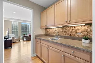 415 E North Water St, Chicago, IL 60611 - Photo 20