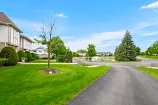 19 Saint Moritz Dr, Palos Park, IL 60464 - Photo 22