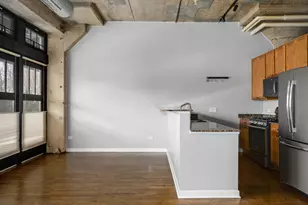 1151 W 14th Pl, Chicago, IL 60608 - Photo 6
