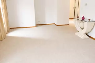 8125 S Prairie Park Pl, Chicago, IL 60619 - Photo 12