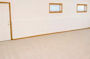 8125 S Prairie Park Pl, Chicago, IL 60619 - Photo 46