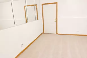 8125 S Prairie Park Pl, Chicago, IL 60619 - Photo 44