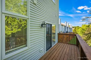 255 Charlotte Ct, Cary, IL 60013 - Photo 36