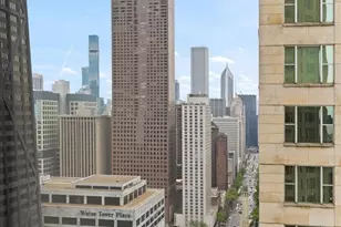950 N Michigan Ave, Chicago, IL 60611 - Photo 38