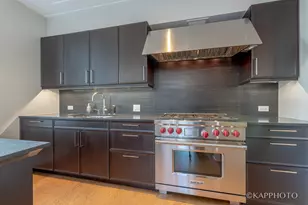 118 E Erie St, Chicago, IL 60611 - Photo 32