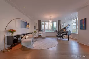 118 E Erie St, Chicago, IL 60611 - Photo 28