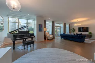 118 E Erie St, Chicago, IL 60611 - Photo 26