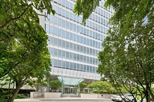 500 W Superior St, Chicago, IL 60654 - Photo 30