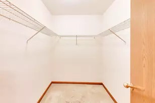 21040 W Hazelnut Ln, Plainfield, IL 60544 - Photo 20