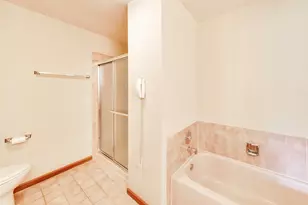 21040 W Hazelnut Ln, Plainfield, IL 60544 - Photo 22
