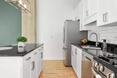 50 E 16th Street #411, Chicago, IL 60616 - Photo 16