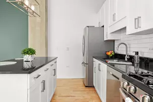 50 E 16th St, Chicago, IL 60616 - Photo 16