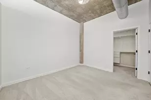 50 E 16th St, Chicago, IL 60616 - Photo 20