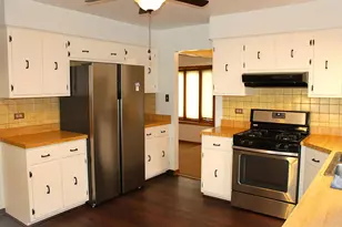 10013 S Menard Ave, Oak Lawn, IL 60453 - Photo 10