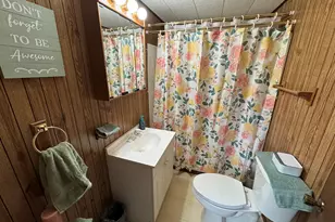 317 S Walnut St, Shannon, IL 61078 - Photo 34