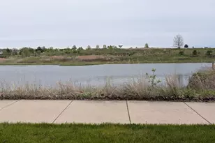 410 Mahogany Dr, Algonquin, IL 60102 - Photo 46