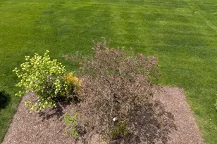 410 Mahogany Dr, Algonquin, IL 60102 - Photo 28