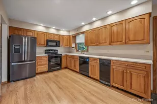 262 Woodville Ln, Schaumburg, IL 60193 - Photo 8