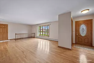 262 Woodville Ln, Schaumburg, IL 60193 - Photo 4