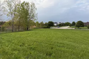 18555 S Marilynn Ct, Mokena, IL 60448 - Photo 1