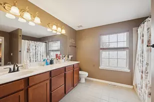 26334 W Silver Stream Dr, Channahon, IL 60410 - Photo 14