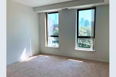 343 W Old Town Court #309, Chicago, IL 60610 - Photo 10