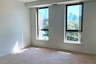 343 W Old Town Ct, Chicago, IL 60610 - Photo 10