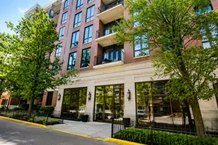 343 W Old Town Ct, Chicago, IL 60610 - Photo 1
