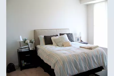 343 W Old Town Court #309, Chicago, IL 60610 - Photo 8