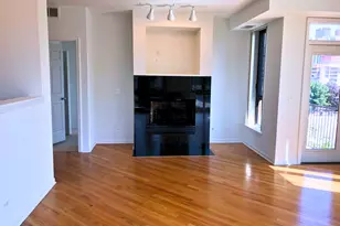 343 W Old Town Ct, Chicago, IL 60610 - Photo 4