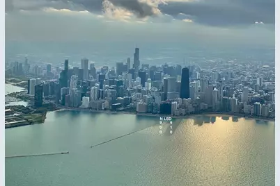 900 N Lake Shore Drive #1207, Chicago, IL 60611 - Photo 34