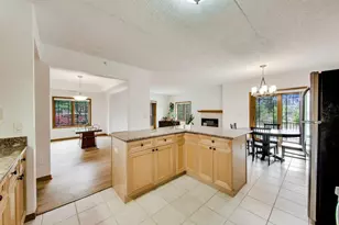 115 N Clifton Ave, Park Ridge, IL 60068 - Photo 14