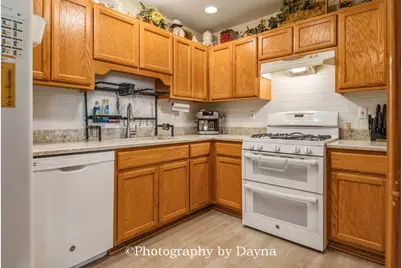 226 Harbor Landing, Braidwood, IL 60408 - Photo 4