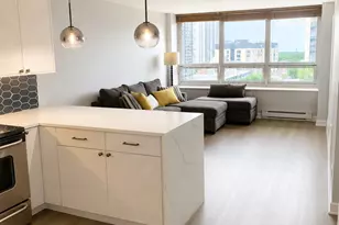 88 W Schiller St, Chicago, IL 60610 - Photo 6