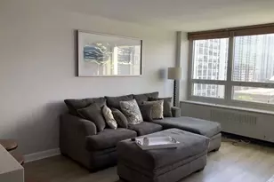 88 W Schiller St, Chicago, IL 60610 - Photo 8