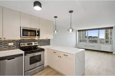 88 W Schiller Street #1107L, Chicago, IL 60610 - Photo 2