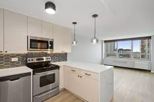 88 W Schiller St, Chicago, IL 60610 - Photo 2