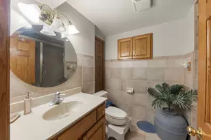 9040 Frances Ln, Orland Park, IL 60462 - Photo 30