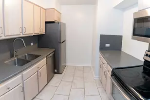 1169 S Plymouth Ct, Chicago, IL 60605 - Photo 4