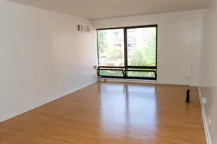 1169 S Plymouth Ct, Chicago, IL 60605 - Photo 2