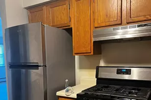 214 S Oak Park Ave S, Oak Park, IL 60302 - Photo 6