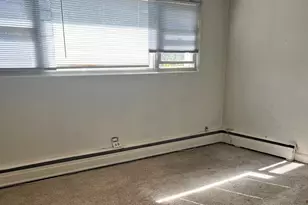 214 S Oak Park Ave S, Oak Park, IL 60302 - Photo 12